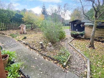 Picture 14